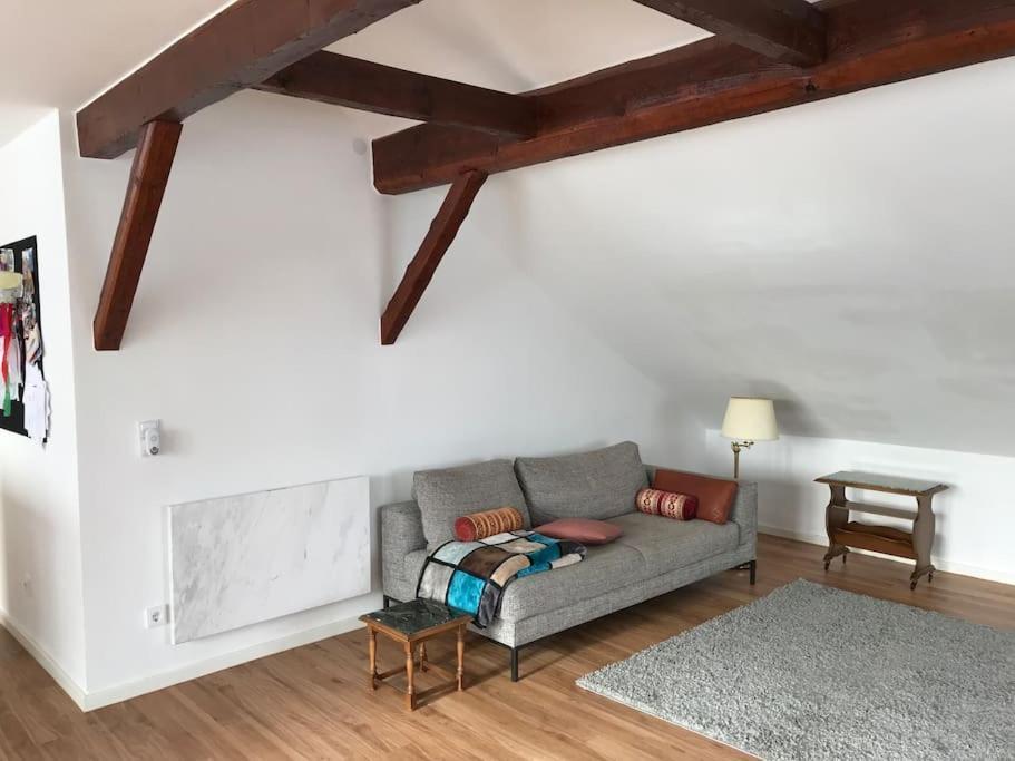 Luxury Top Floor Appartment Kassel Exterior foto