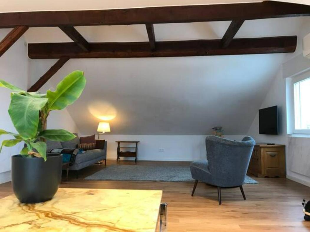 Luxury Top Floor Appartment Kassel Exterior foto